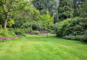 Optimiser l'expérience du jardin à Courgenay